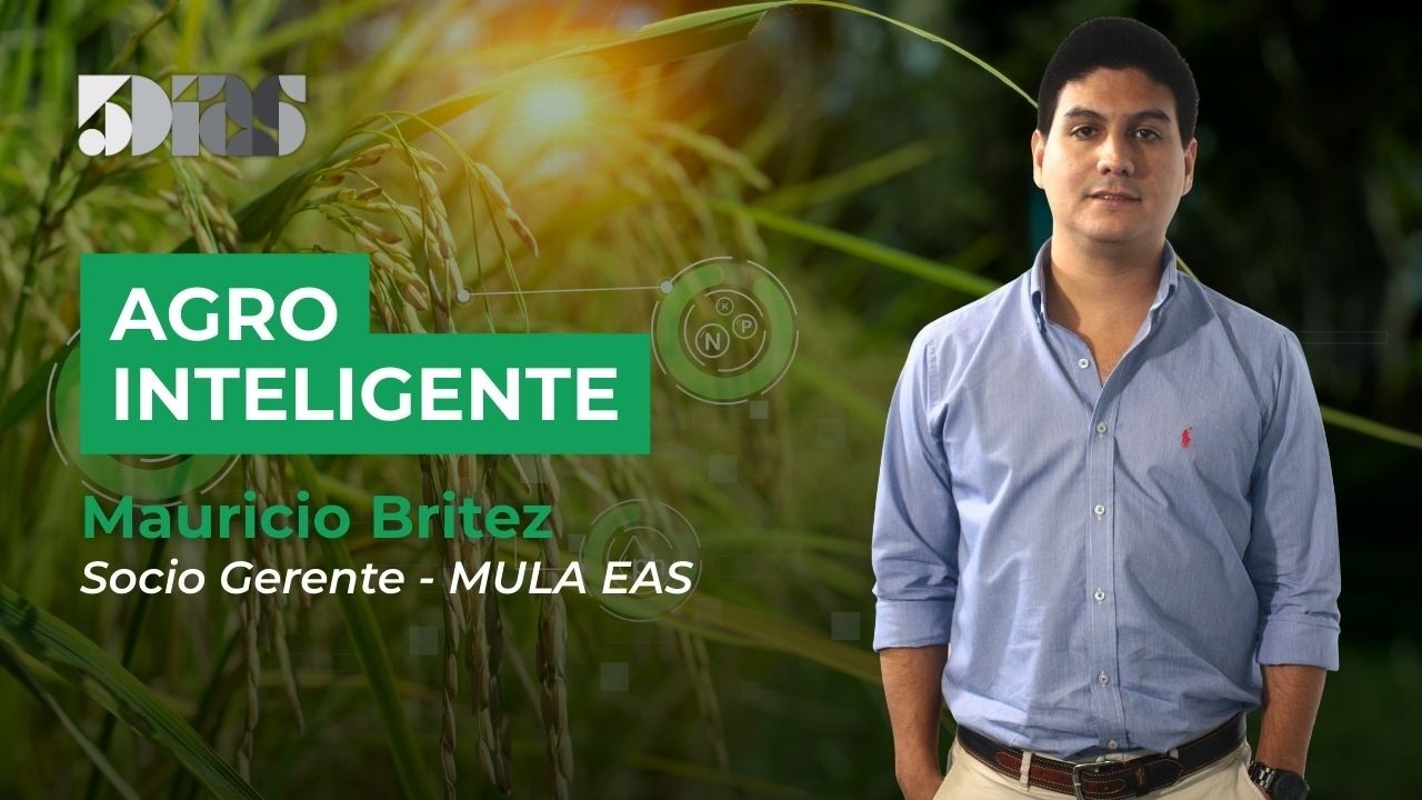 Mauricio Britez l El proceso de profesionalización de la ganadería