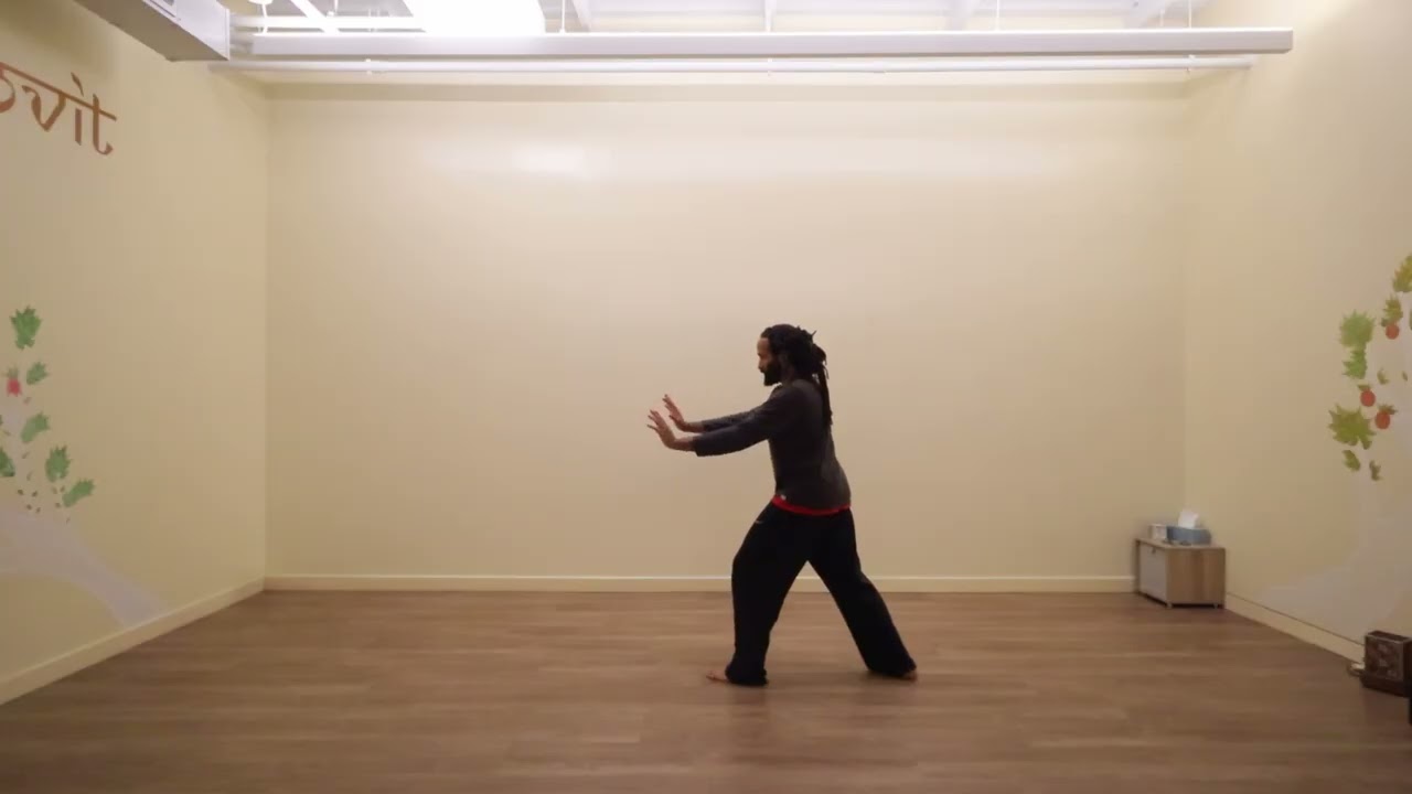 Tai chi 24 Movements