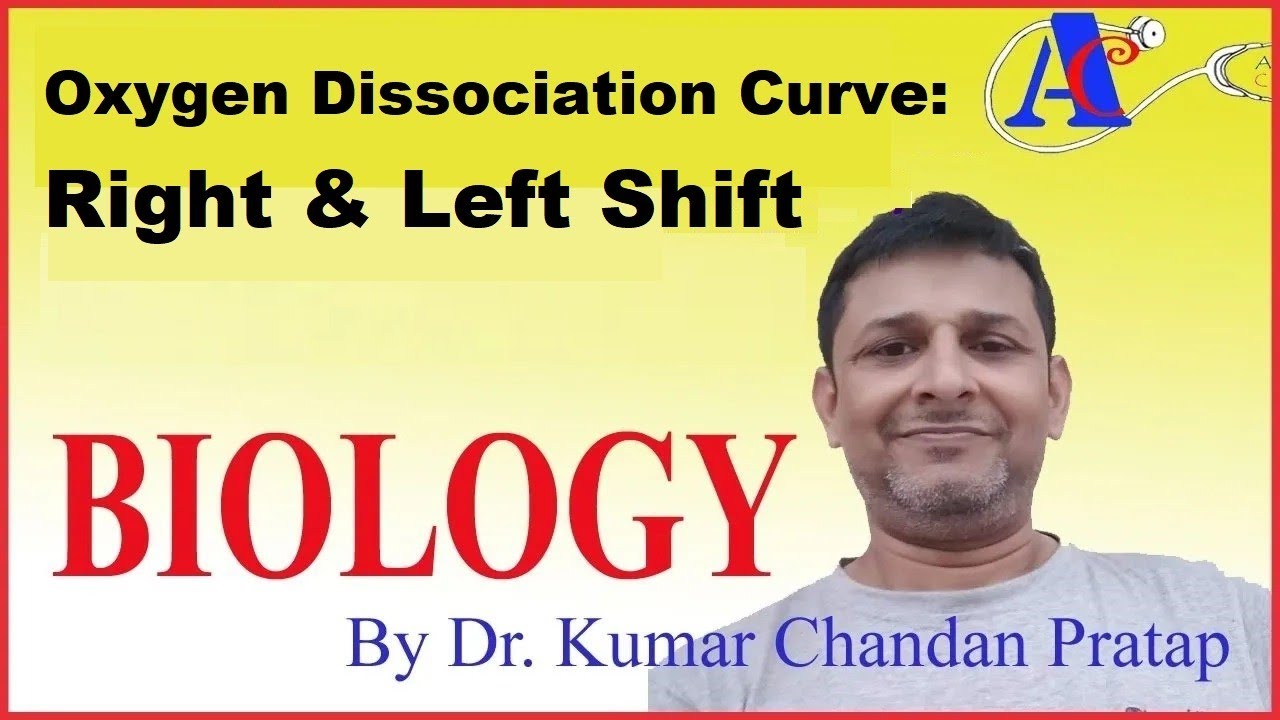 Oxygen Dissociation Curve : Right & Left Shift