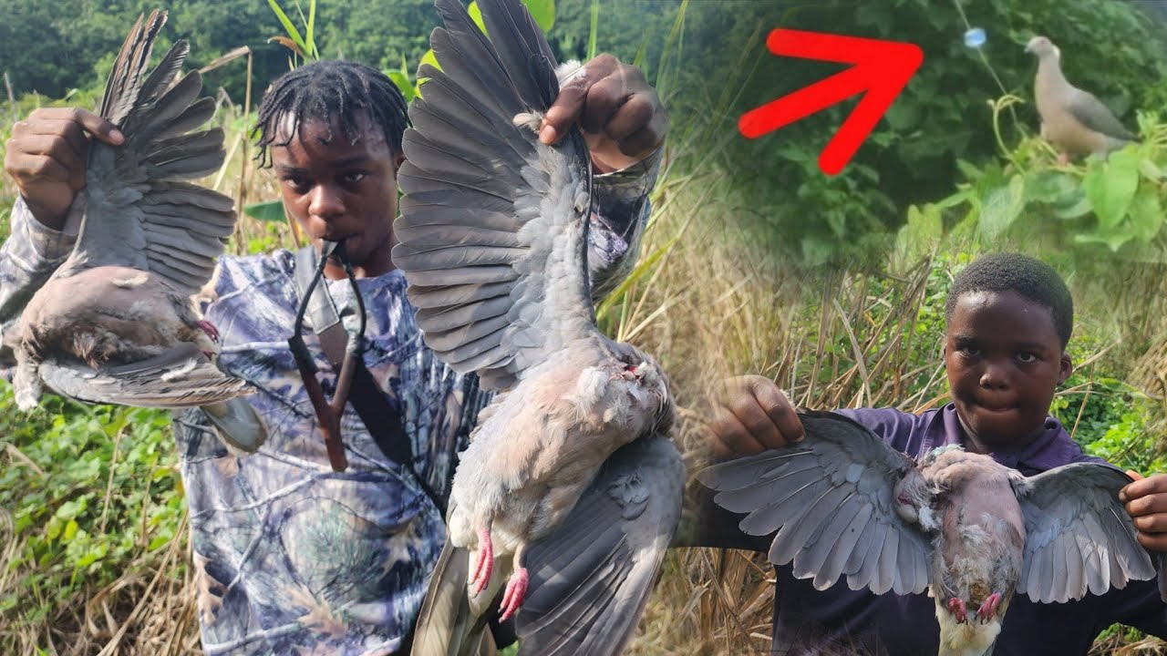 2025 Bird Season Slingshot Shooting Doves | Catch & Cook ● EPIC