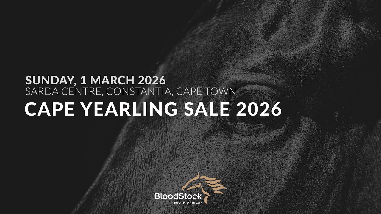 CAPE YEARLING SALE 2026