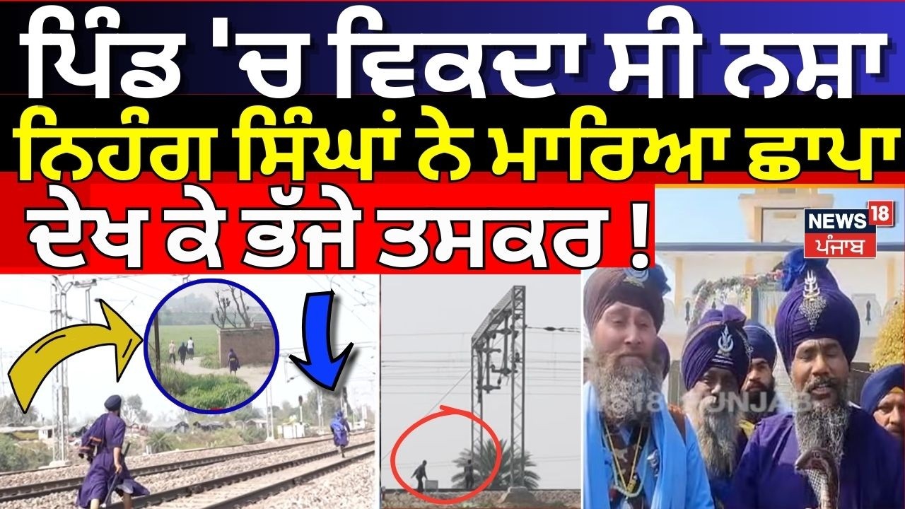 LIVE | ਪਿੰਡ 'ਚ ਵਿਕਦਾ ਸੀ ਨਸ਼ਾ, ਨਿਹੰਗ ਸਿੰਘਾਂ ਨੇ ਮਾਰਿਆ ਛਾਪਾ, ਦੇਖ ਕੇ ਭੱਜੇ ਤਸਕਰ !