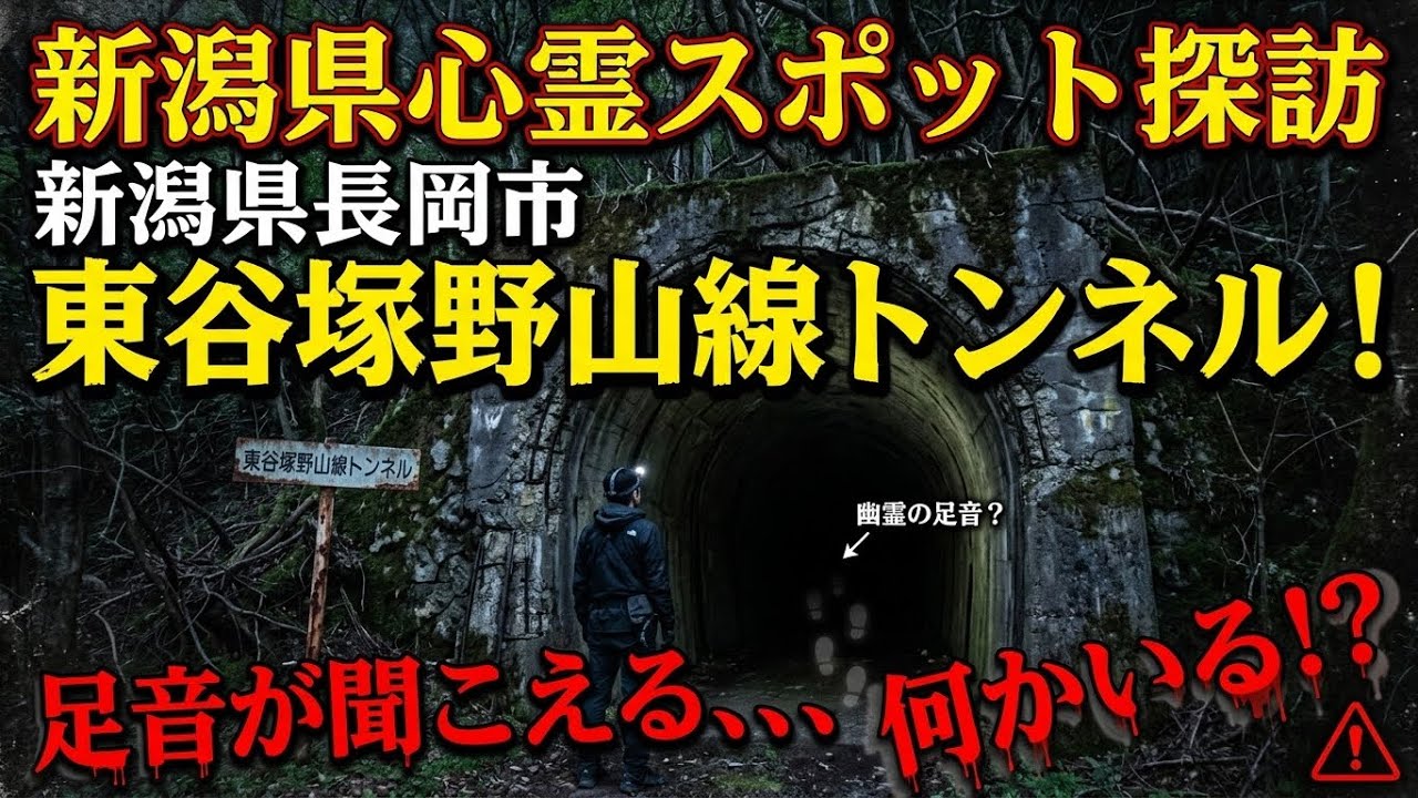新潟県心霊スポット探訪 新潟県長岡市  東谷塚野山線トンネル  男性の霊が現れる！2026.2.21_Full HD 1080p.mp4