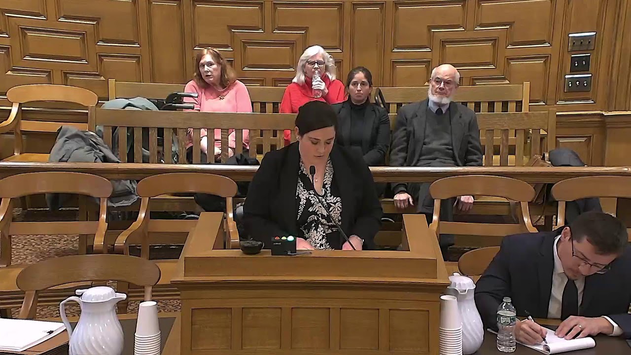 Oral Arguments, March 2, 2026, Henry, Shin, Toone, JJ., presiding