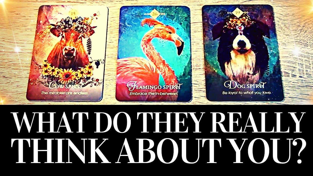 PICK A CARD 🔮 🤔 WHAT DO THEY REALLY THINK ABOUT ME? 🤔 🔮 Platonic/Romantic/Family/Work Tarot Reading
