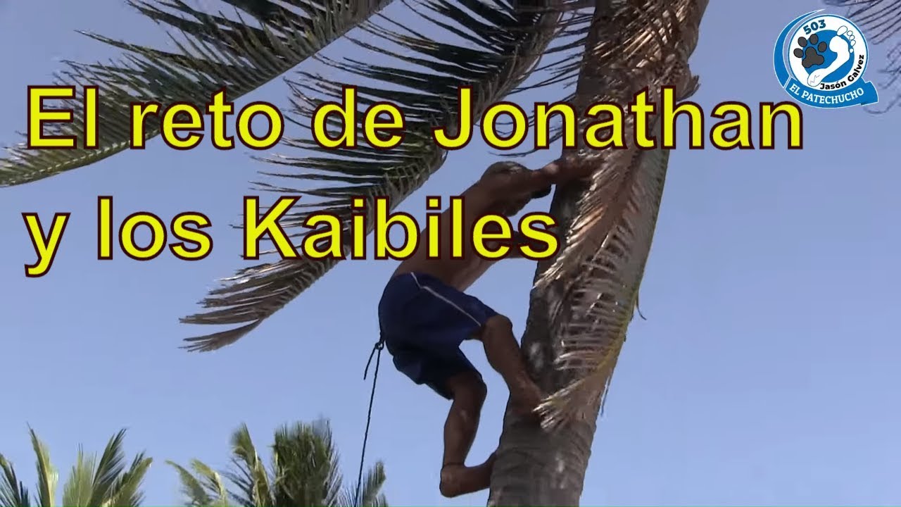 Задача Джонатана &mdash; забраться на кокосовую пальму Эль-Патечучо с Rescue and Fishing 503