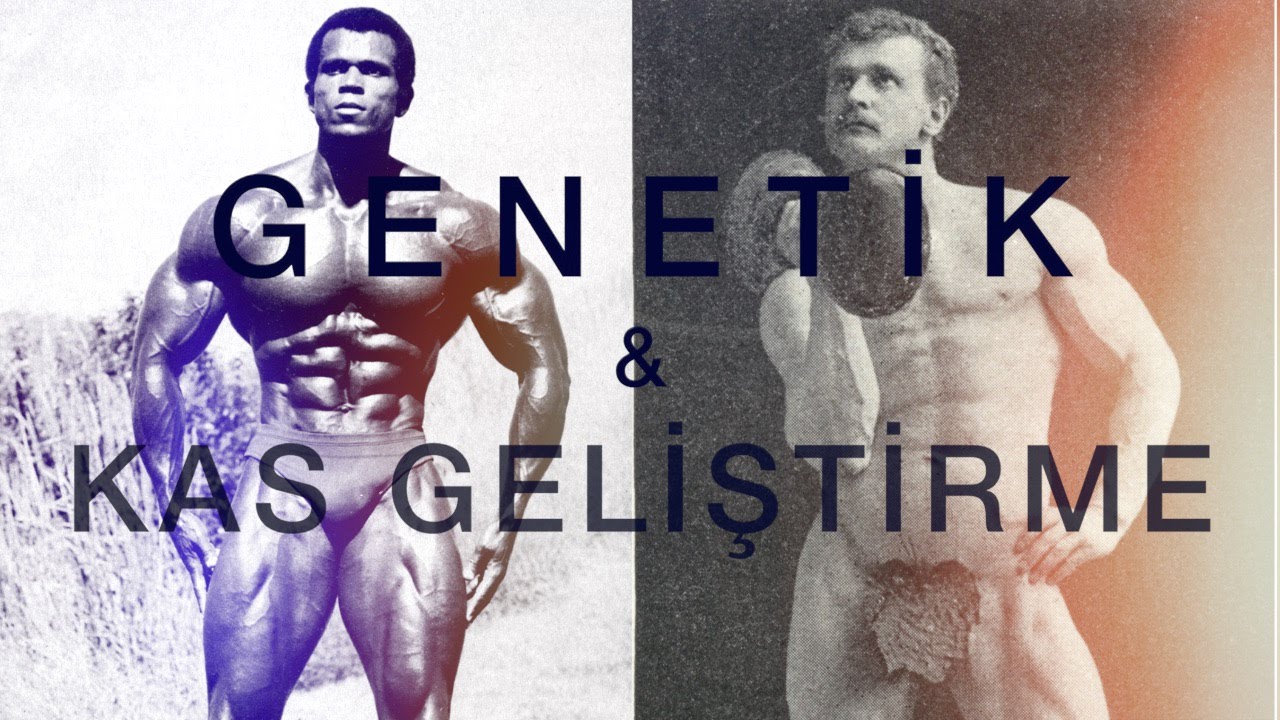 Genetik Farklılıklar ve En Hızlı Kas Kütlesi Artırma Yöntemi