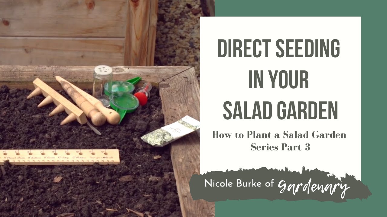 Direct Seeding in Your Salad Garden - How to Plant a Salad Garden Series Part 3