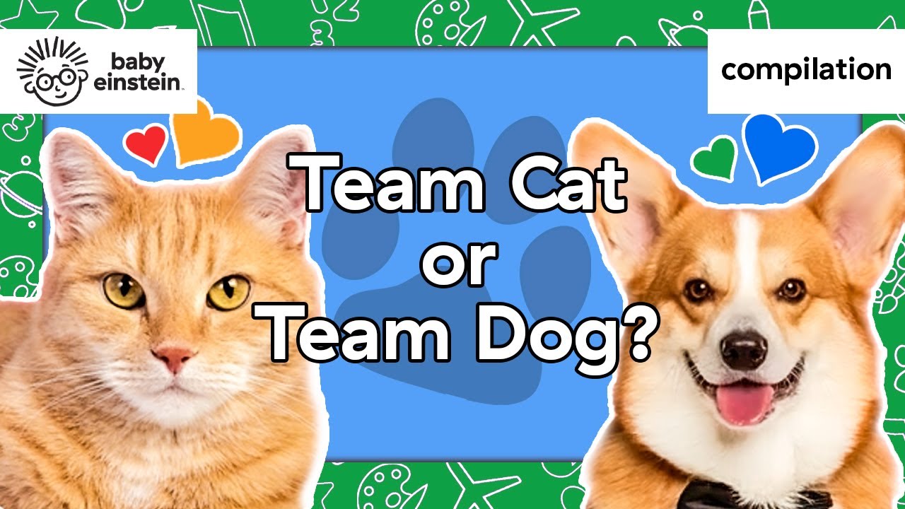 Cats, Dogs & More of Your Favorite Animals! | Baby Einstein | Learning Show for Toddlers | Animals