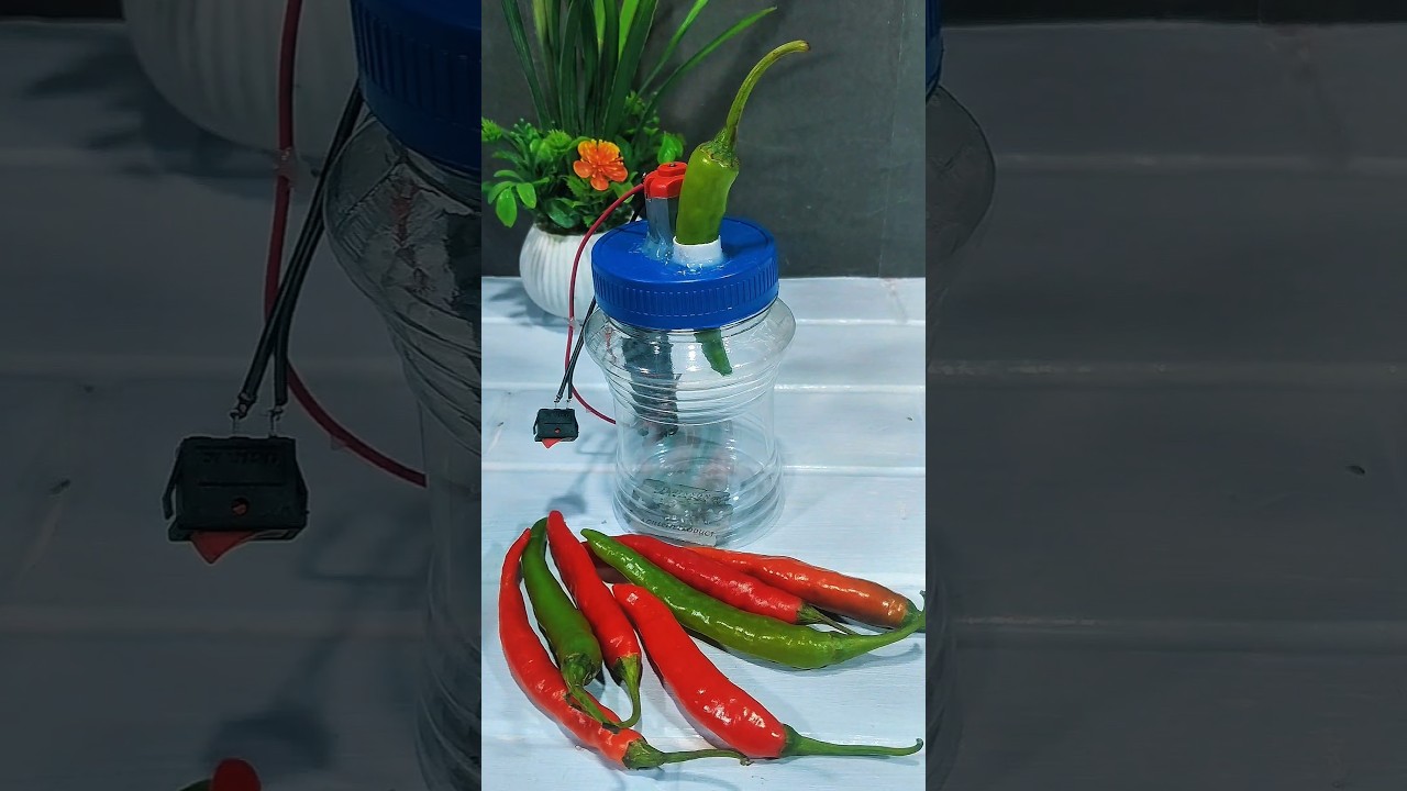 Can a Mini DC Motor Cut Chilli? 😳🌶️ | DIY Test 