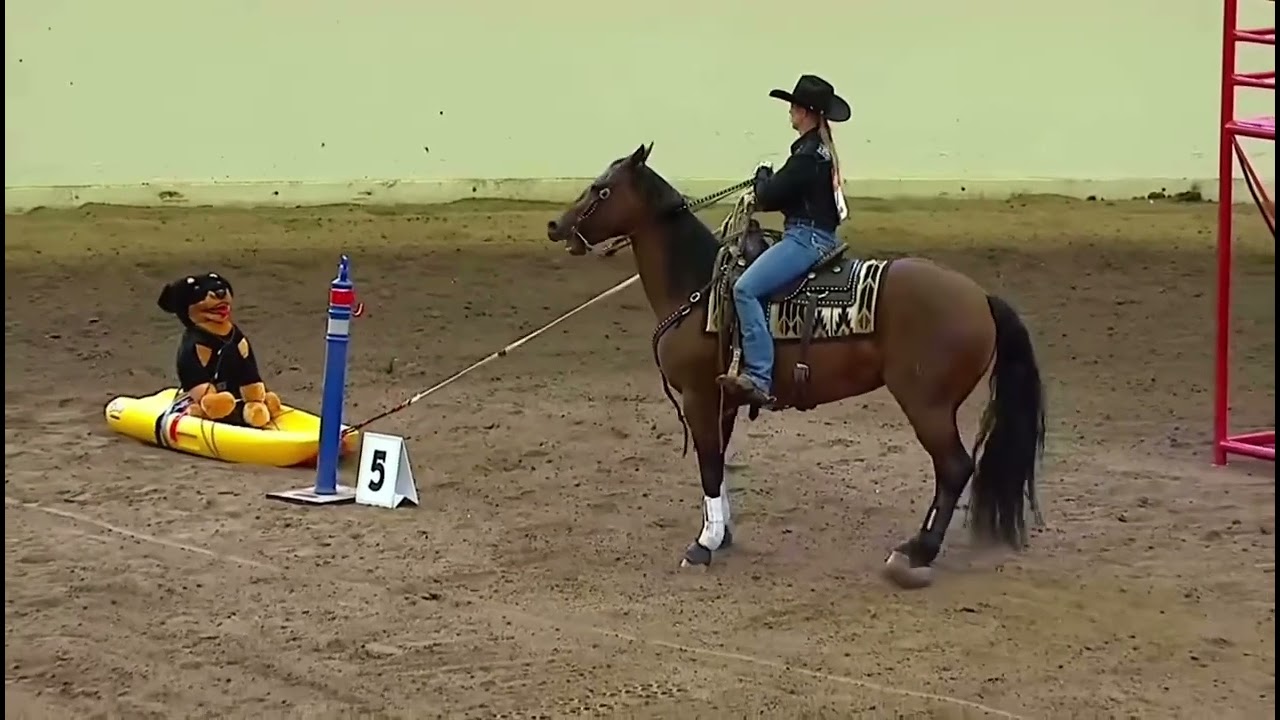 Hannah Howe and High Flying X Tex round 2 Cowboy Up Challenge at the Calgary Stampede 2025