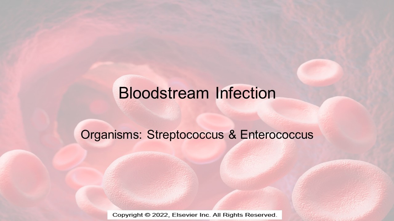 Инфекции кровотока, вызванные стрептококками и энтерококками.