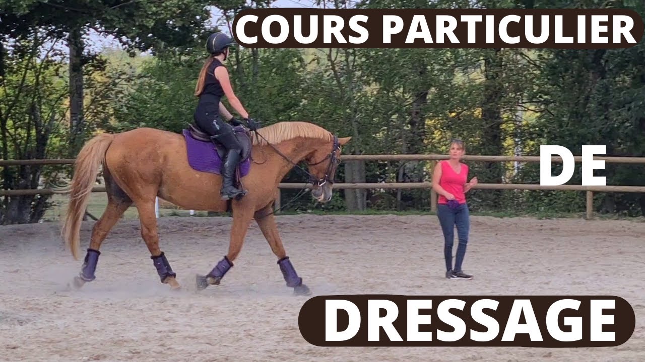 COURS PARTICULIER DE DRESSAGE ! (Equi Galwaye)
