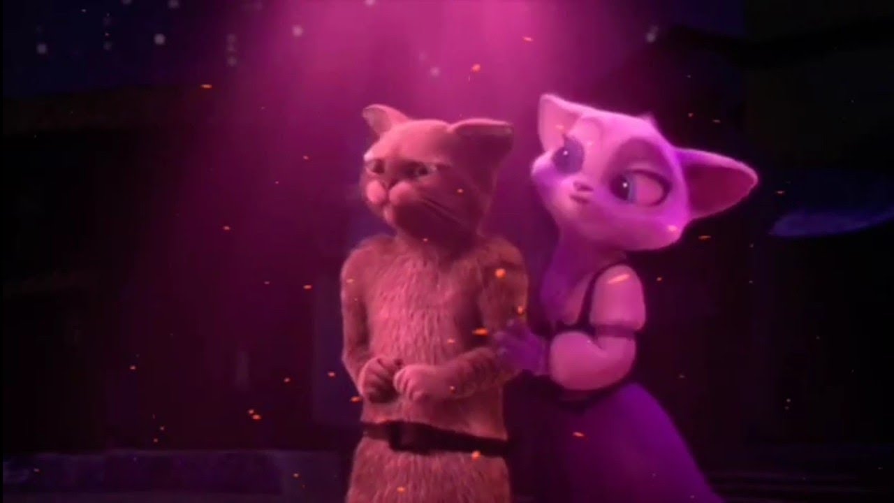 Gato y Dulcinea/Princesa de mis sueños