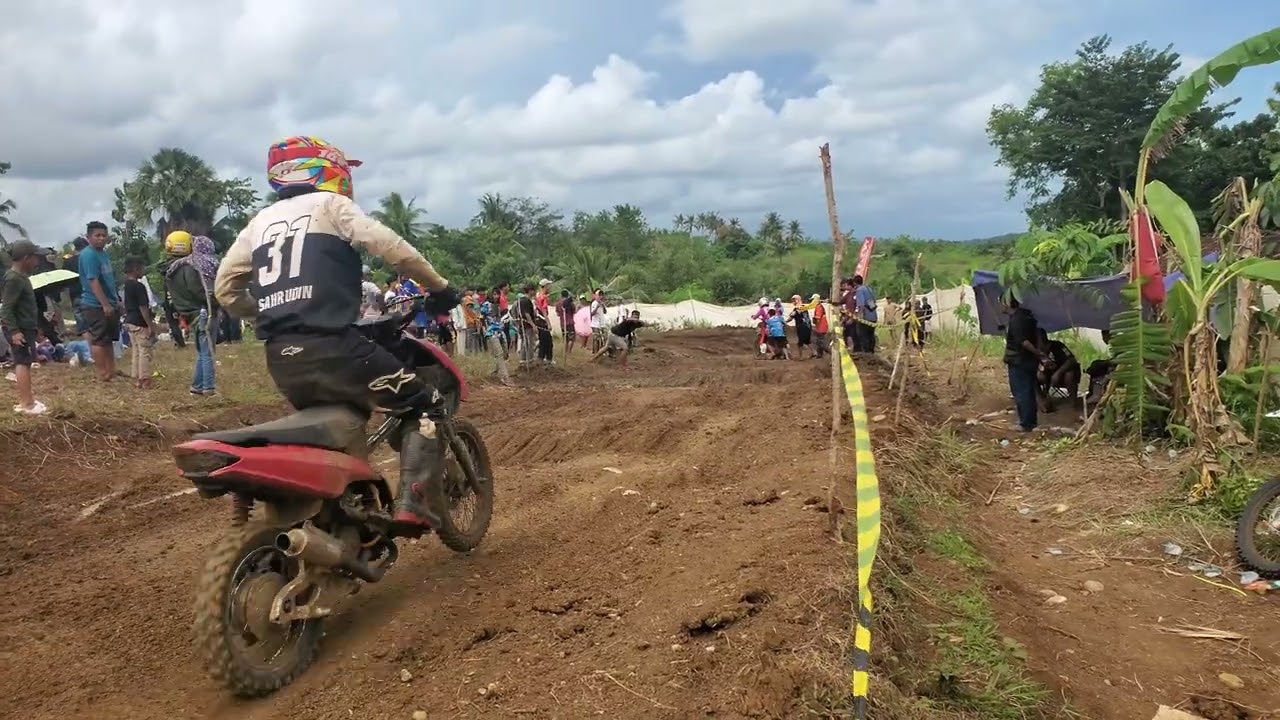 GTX CI DAUN, METIK STD OPEN