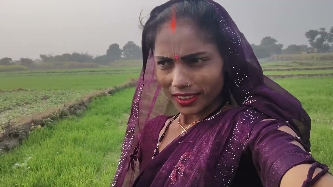 फुल है गुलाब