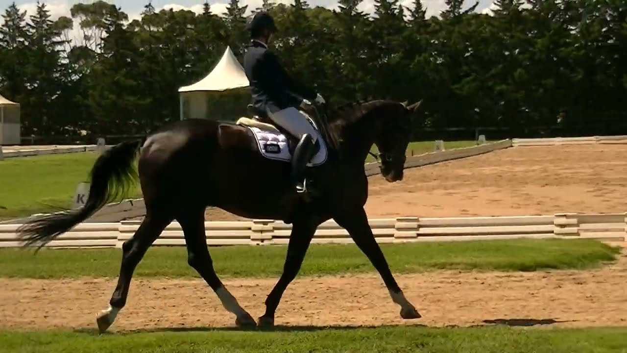 B&DDC - Skye Park Rugs Classic Championship