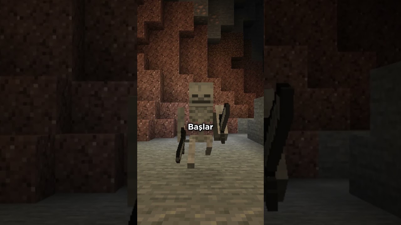 Minecraft'taki İskeletler Sizi KANDIRIYOR?!