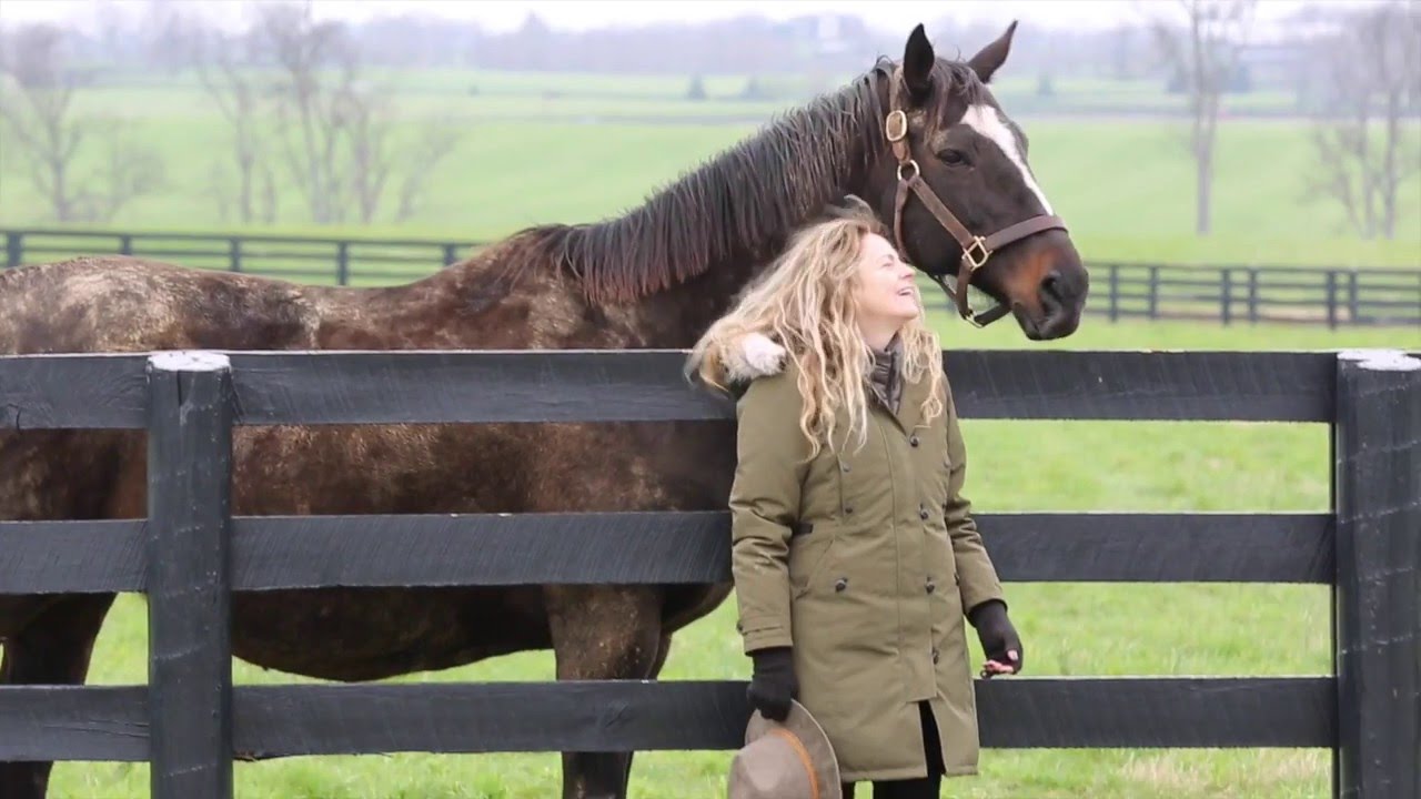 Zenyatta Foal Watch 2016
