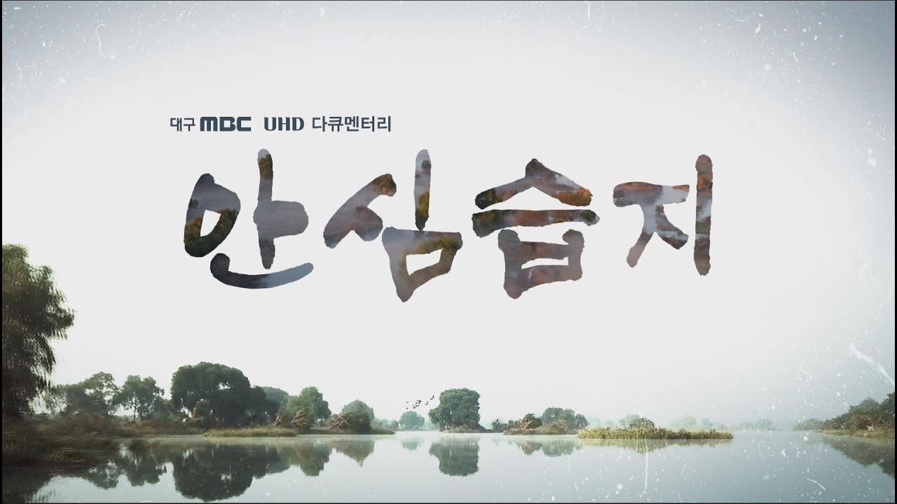 대구MBC특집 UHD다큐멘터리 안심습지