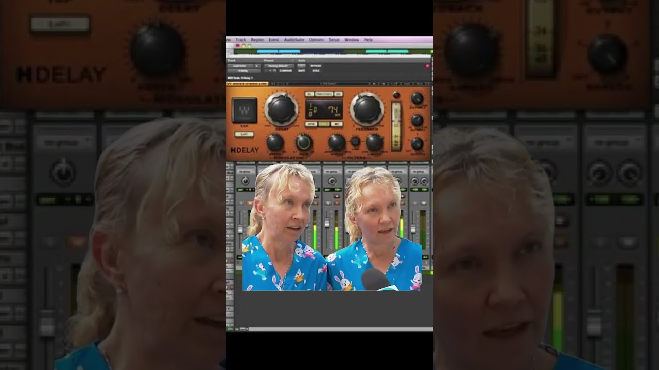 T t h h a t t s s l a p d e l l l a y y y y : Slap Delay Meme  
