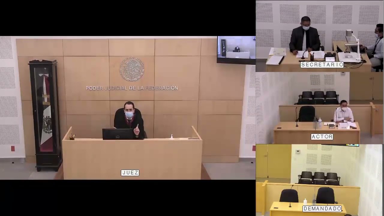 AUDIENCIA PRELIMINAR (CONCENTRADA) JUICIO ORAL MERCANTIL CON RESOLUTIVOS DE SENTENCIA.