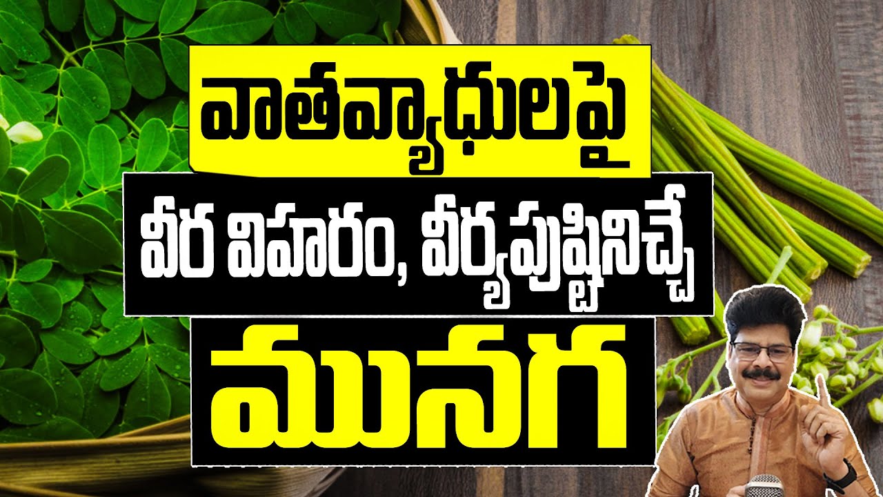 వాతవ్యాధులపై వీర విహరం| వీర్యపుష్టినిచ్చే మునగ| Multiple Benefits of Moringa| Cholesterol | Diabetes