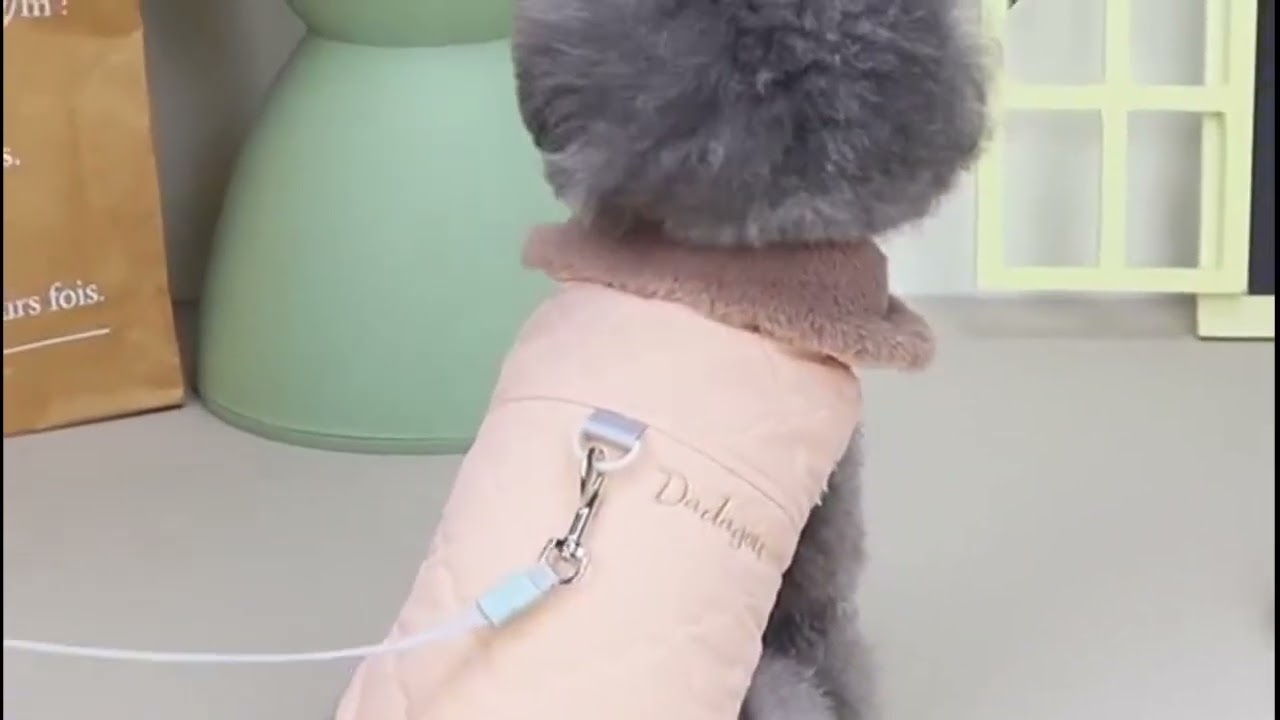 Waterproof Winter Pet Jacket Clothes Super Warm Small Dogs Clothing With Fur Collar Cotton Pet Vest