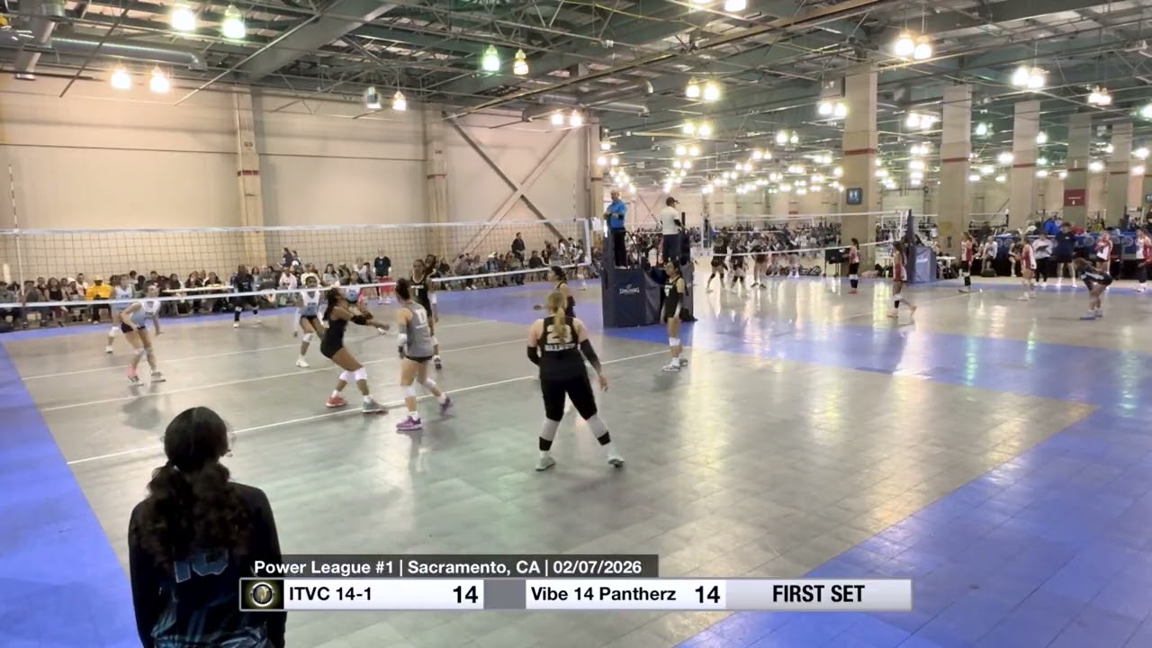 Vibe 14s Pantherz
