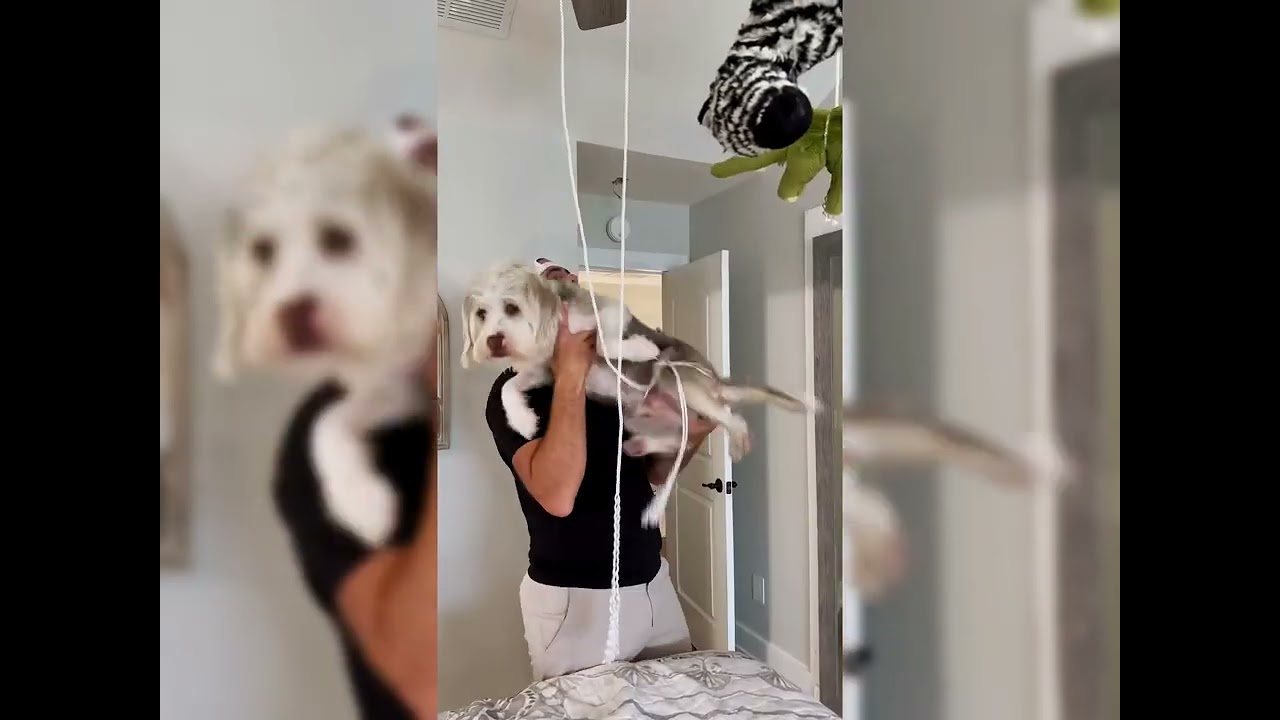 🤣👌👌👌2026 pov Must-Watch Crazy Clips Compilation #humor #fypシ #pov #fyp #foryou 😍😜part4