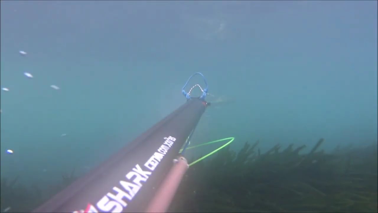 Cetma Shark 72 un arma giusta nel torbido e risacca