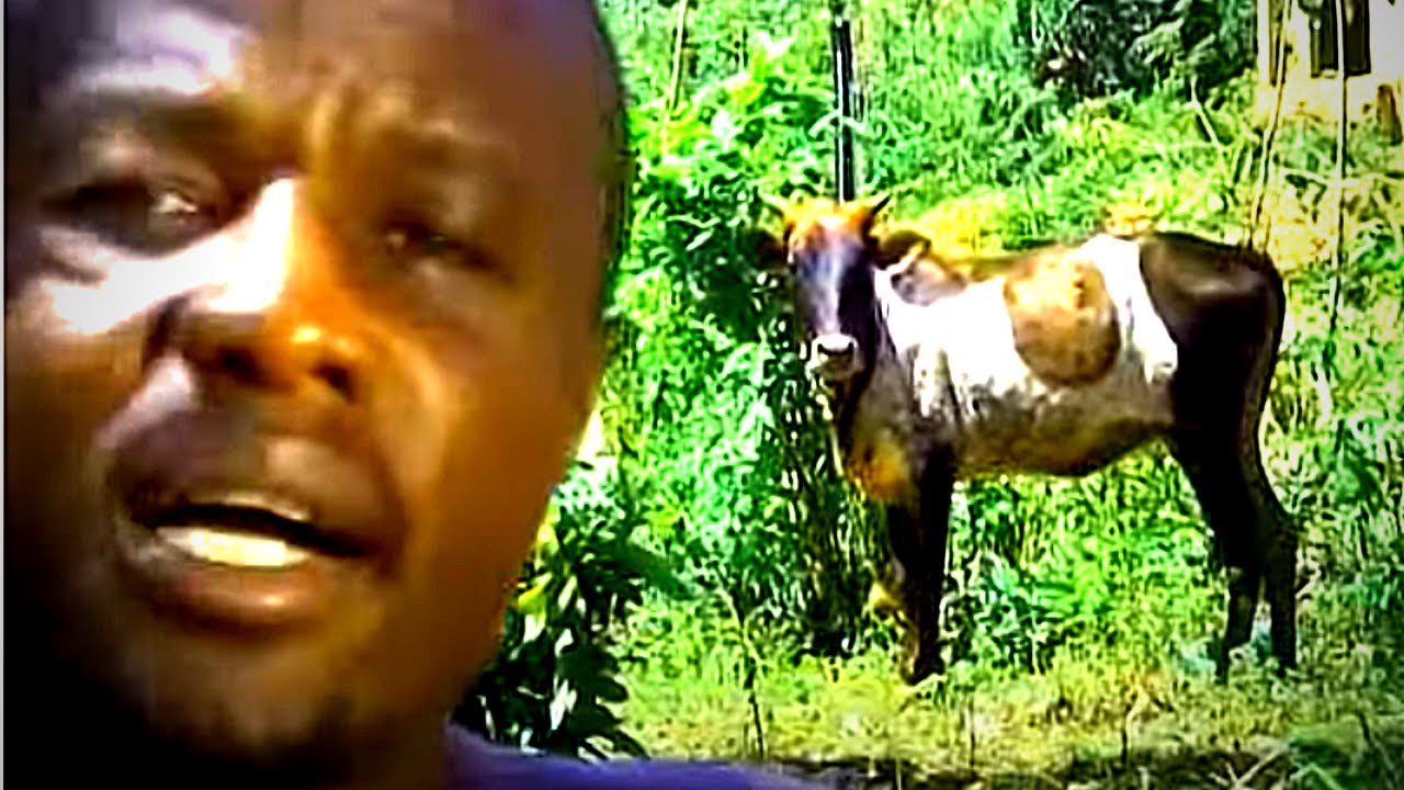 Jabali Afrika - Njelele (Official Music Video)