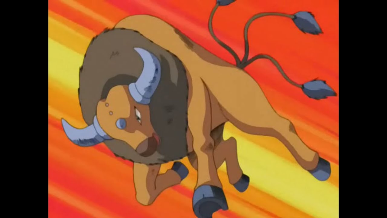 All Ash's Tauros moves