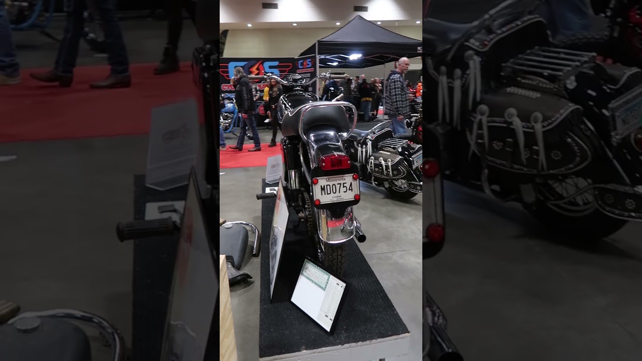 WILD CUSTOM MOTORCYCLE 