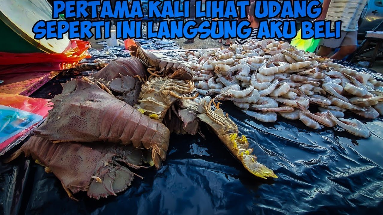 Papua street food - berburu seafood di pasar ikan jembatan puri dapat udang kipas