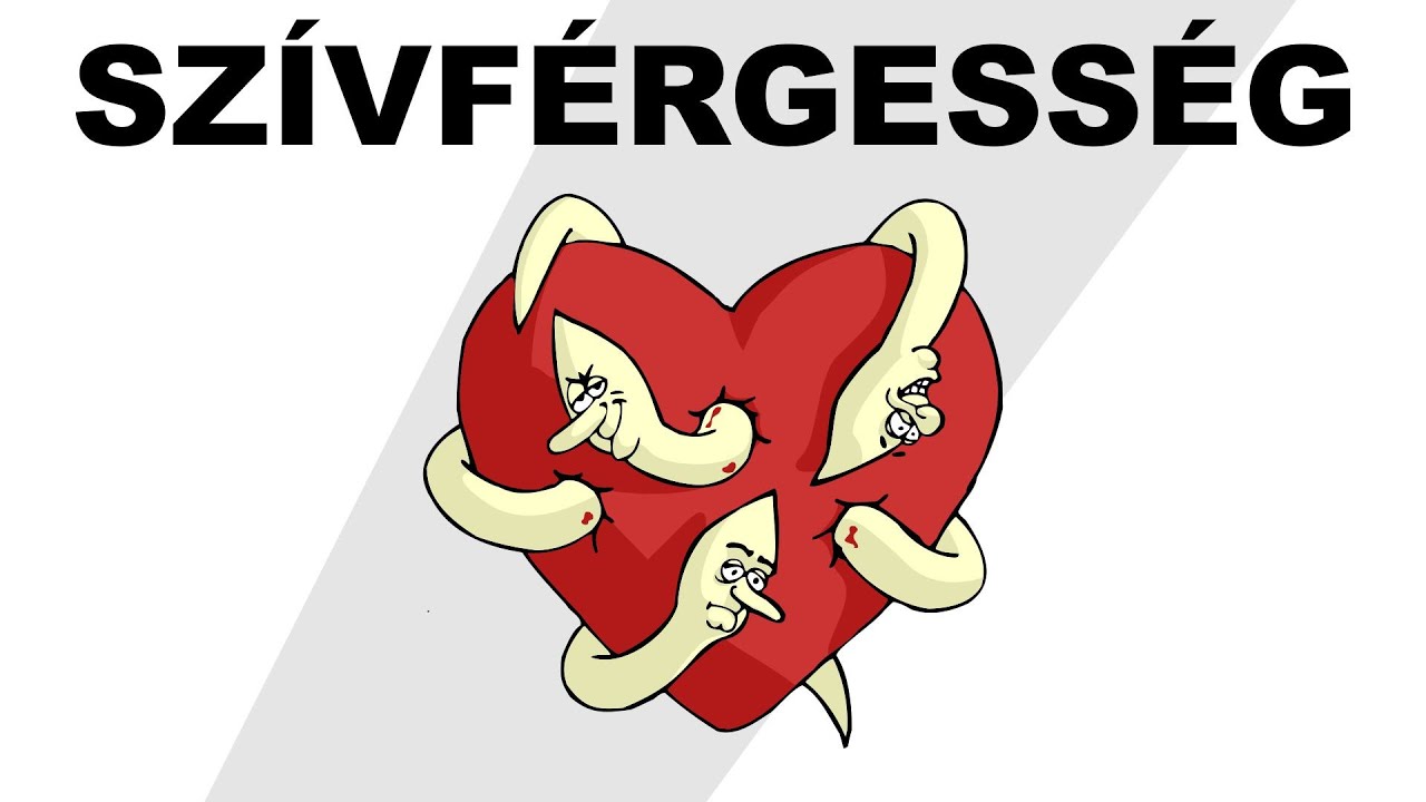 Szívférgesség - csak egyszerűen