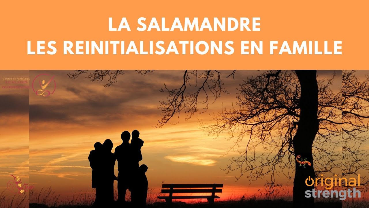 Réinitialisations en famille 🦎 la salambre - Intégration Motrice Primordiale (IMP)