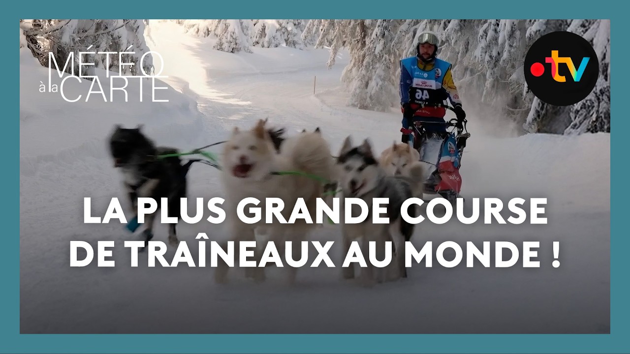 La plus grande course de traîneaux au monde ! - Météo à la carte