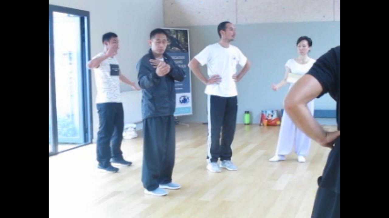 CHEN ZIQIANG IN FRANCE 2016