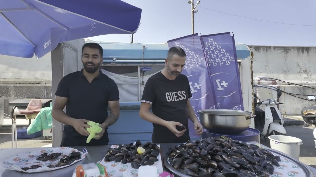 ŞİLE  29 eylül 2024 pazar