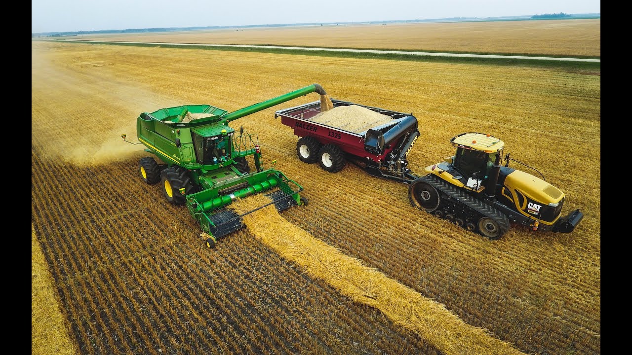 harvest 2018 in 4K
