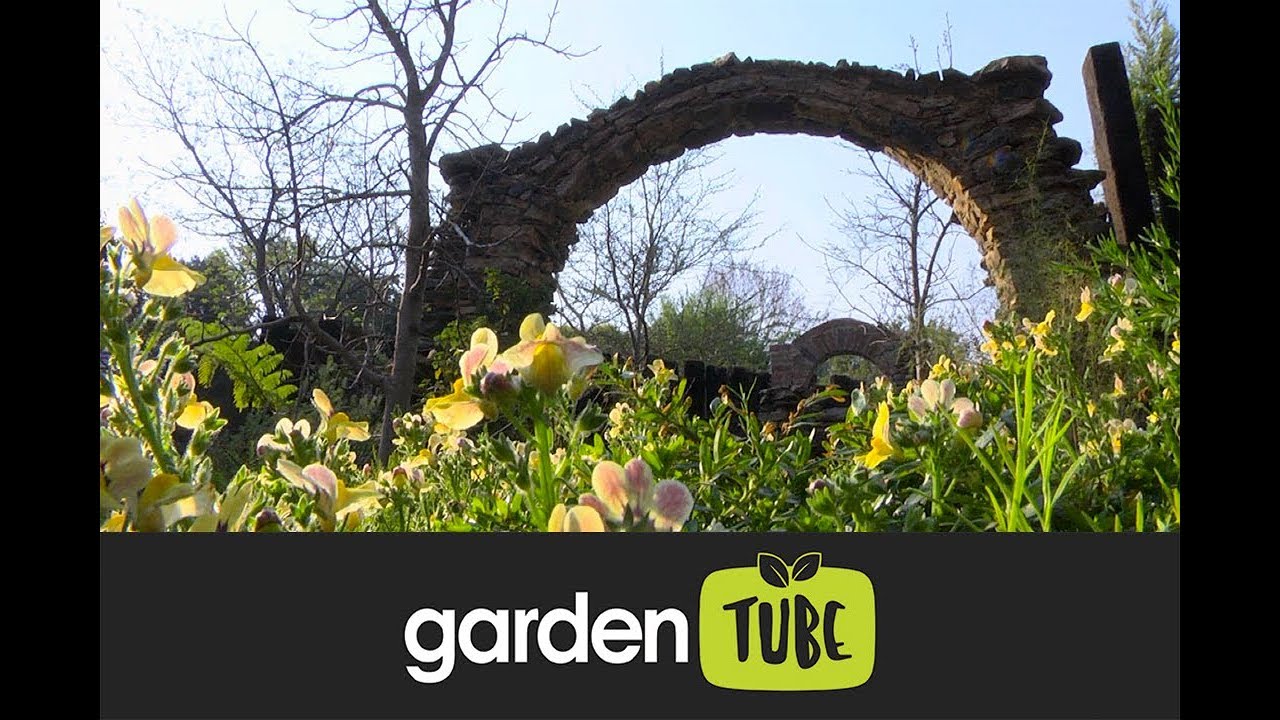 Grotto Inspired Garden