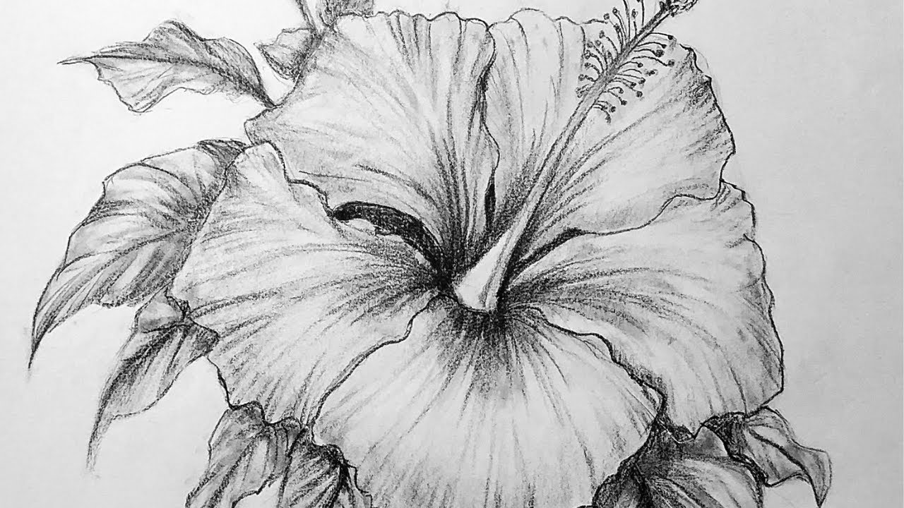 Draw a flower /lesson for beginners on how to draw a flower / #drawinglesson#howtodraw #Easy drawing