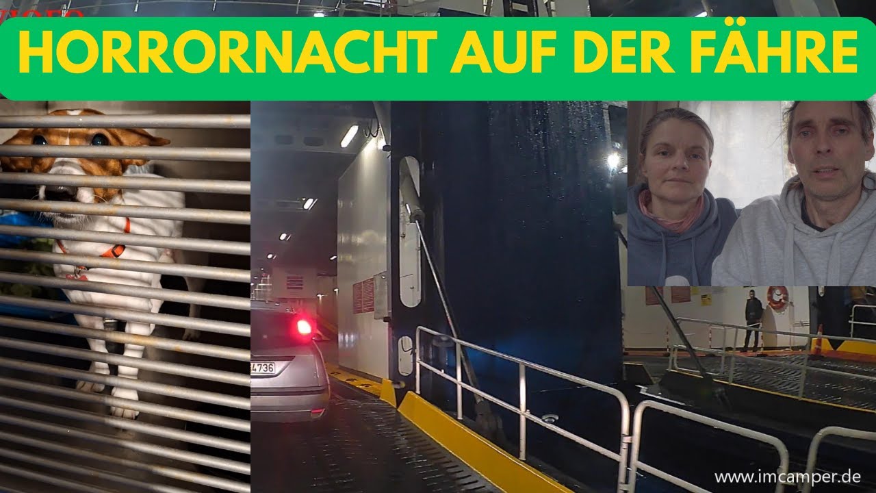 Unsere Hunde hatten Todesangst - diese Nacht vergessen wir nie!