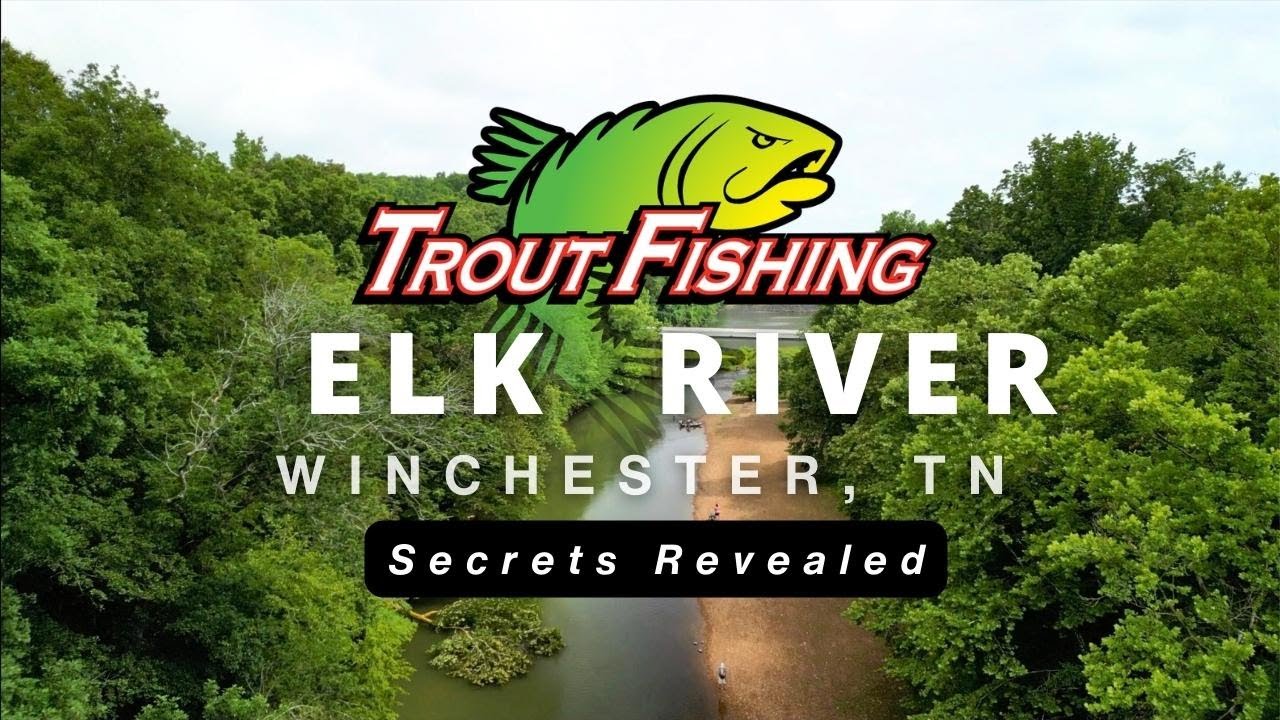 Trout Fishing the ELK RIVER: Secrets Revealed
