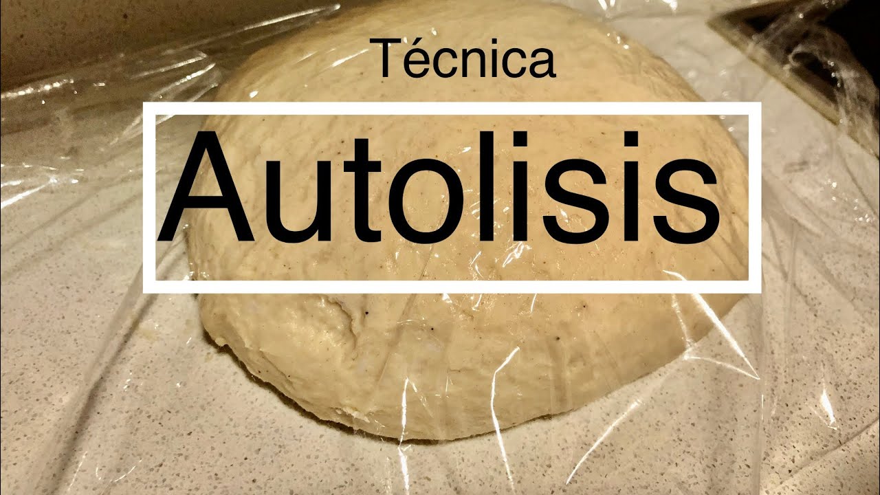 CURSO AVANZADO PIZZERO 4/15 l El AUTOLISIS.