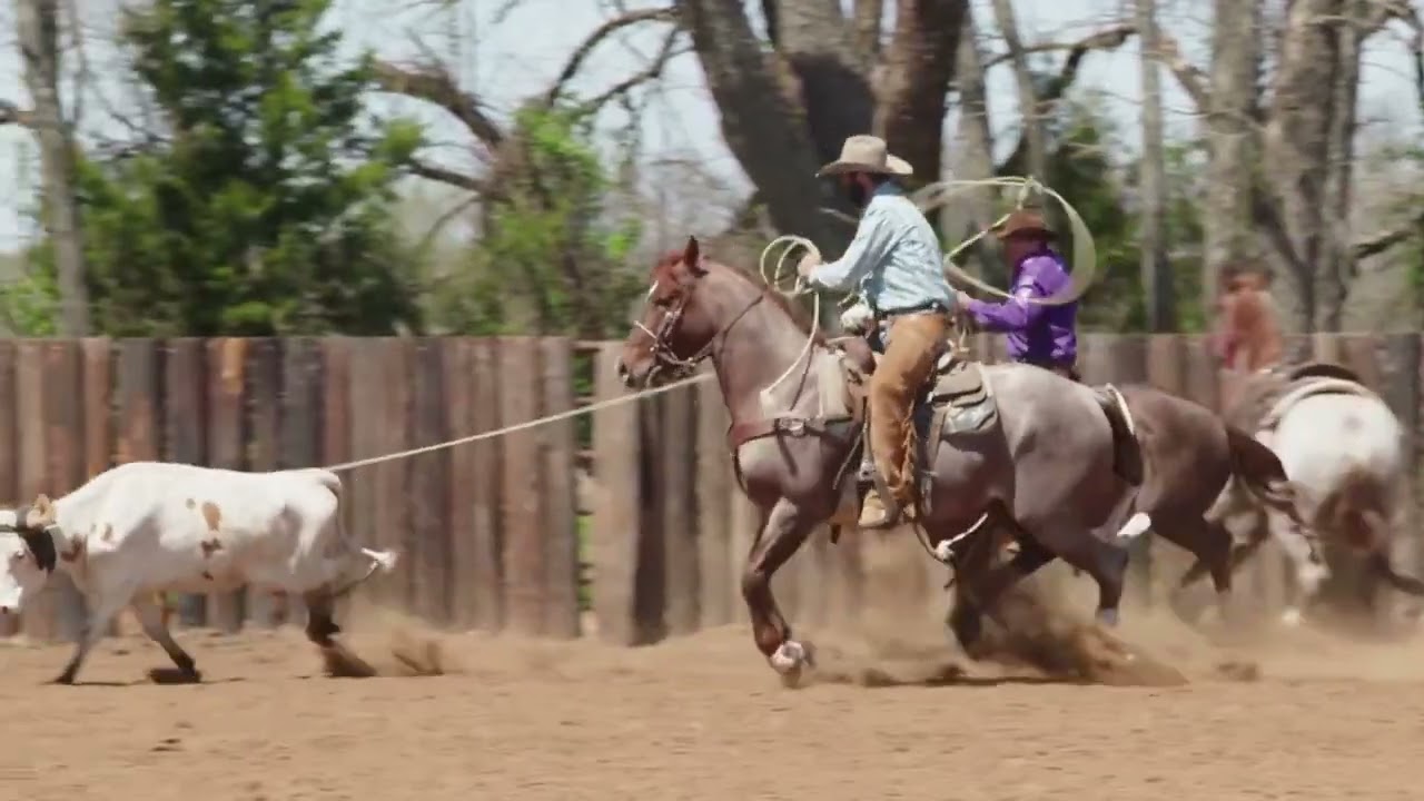 Roping.com: Correcting Anticipation in a Head Horse | Dakota Kirchenschlager