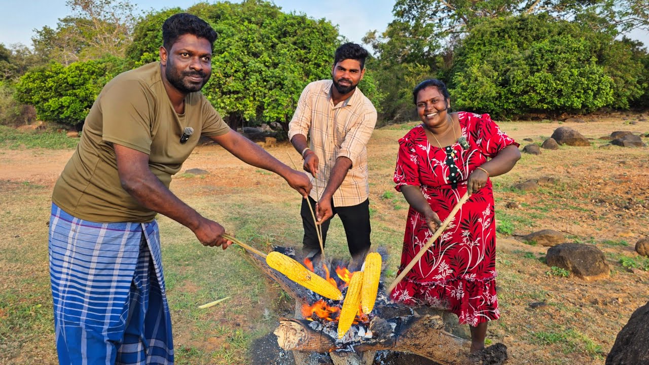 குளக்கரையில் சுட்ட சோளனும் பலாப்பழமும் | village life | vanni vlog