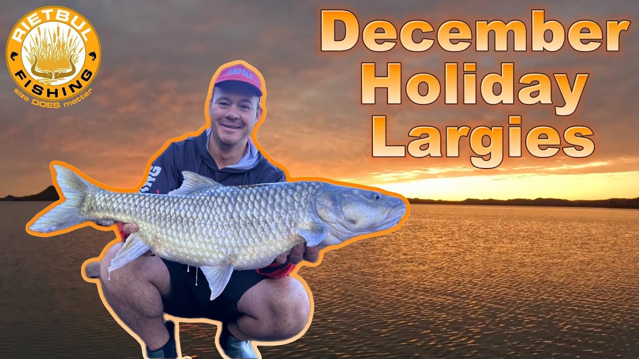 December Holiday Largemouth Yellowfish
