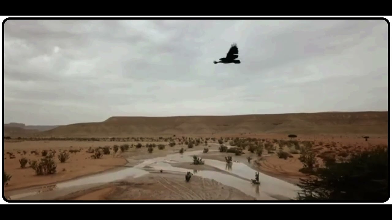 لما لح قلبي من ليالي الجفيّا عوق ..